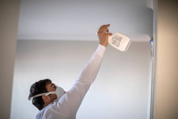 Best Mold Removal and Inspection  in Gibsonburg, OH