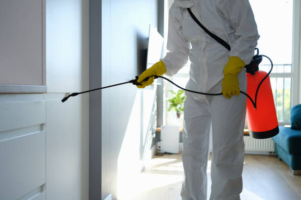 Best Professional Mold Removal  in Gibsonburg, OH